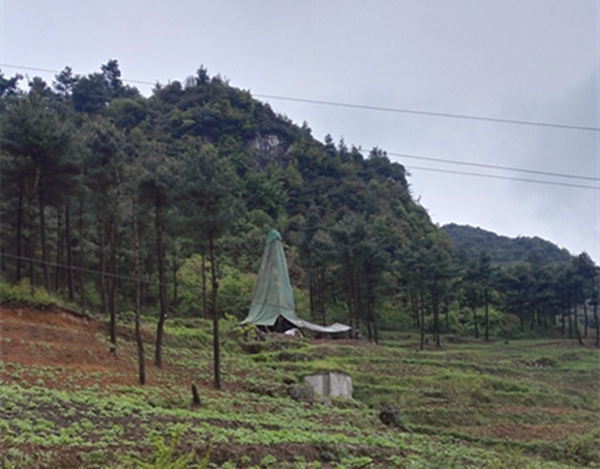 把脈“黔”鋅地,問診開良方