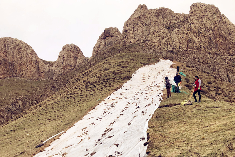 瑪溫根礦區(qū)探槽植被恢復工作圓滿完成