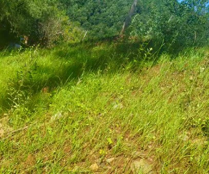 柳關(guān)欒盧鉛鋅礦|治理排土“瘡疤”，繪就綠色畫卷